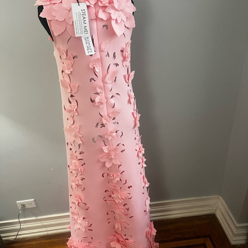 Badgley Mischka Blush Pink 3D Floral Appliqué Formal Gown